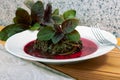 Prepaired braised amaranth - red spinach, in it`s own juce on white plate on wooden boarding Royalty Free Stock Photo