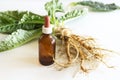 Preparation of alcohol tincture from wild teasel root .In folk medicine, their roots are used to produce medicinal Royalty Free Stock Photo