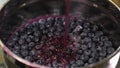 preparation of blueberry jelly with gelatin pour in a thin stream into an iron plate refrigerate to make jelly healthy