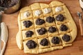 Preparation of buchty - traditional Czech sweet buns made of yeast dough - filling with ground poppy seeds or curd