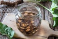 Preparation of burdock tincture from fresh root Royalty Free Stock Photo