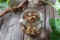 Preparation of burdock tincture from fresh roots Royalty Free Stock Photo