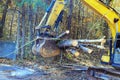 During preparation for construction, a builder uses tractor to uproot trees in forest