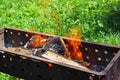 Preparation for cooking barbecue on the metal brazier. Burning logs in flames.