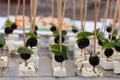 Appetizers with soft goat cheese with olives and mint leaves