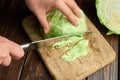 Preparation of dietary fresh chopped cabbage salad on wooden choping board background