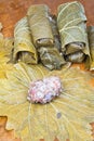 Preparation dolma from grape leaves, mince, rice