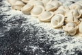 Preparation of dumplings Pelmeni. Raw meat pelmeni, ravioli, dumplings. banner, menu, recipe place for text, top view