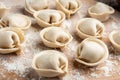 Preparation dumplings on wooden board.