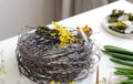 Preparation for Easter, Easter background. Yellow mimosa wreath blank, selective focus Royalty Free Stock Photo