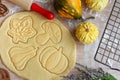 Preparation of festive cookies for baking in the oven