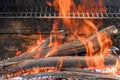 The preparation of fire for the BBQ in flame of burning charcoal logs on a bonfire Royalty Free Stock Photo