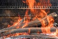 The preparation of fire for the BBQ in flame of burning charcoal logs on a bonfire