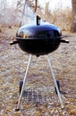 Preparation of food in the barbecue in the woods in nature. On o