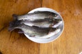 Preparation of fresh trout for cooking. Royalty Free Stock Photo