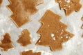 Preparation of ginger biscuits.  Cutting figured cookies in the form of Christmas tree.  New Year`s Eve symbol Royalty Free Stock Photo
