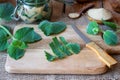 Preparation of a silver spurflower syrup from fresh silver spurflower plant