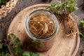 Preparation of herbal tincture from fresh nettle root in spring