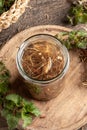 Preparation of herbal tincture from fresh nettle roots in spring
