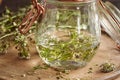 Preparation of homemade herbal tincture from fresh shepherd`s purse