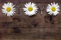 Preparation for manicure with chamomile on dark wooden background top view space for text