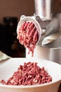 Preparation of minced meat in grinder Royalty Free Stock Photo