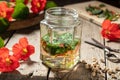 Preparation of nasturtium tincture from fresh plant Royalty Free Stock Photo