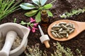 Preparation of natural plant medicine with elements on soil