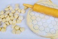 Preparation of pelmeni at home in the kitchen Preparing, cooking, making homemade ravioli, pelmeni or dumplings with meat