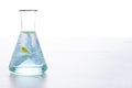 Preparation of perfumes from natural ingredients, aromatherapy. Fresh blue flower in a chemical flask