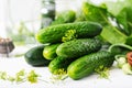 Preparation pickled marinated cucumbers