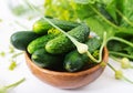 Preparation pickled marinated cucumbers