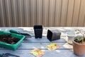 Preparation for planting flower seeds. garden tools, seedling pots, soil on a wooden table in the backyard.