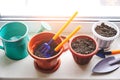 Preparation for planting home plants in flower pots in daylight on the windowsill Royalty Free Stock Photo