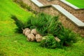 Preparation for planting trees and shrubs in the urban park area