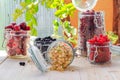 Preparation products processed fresh colorful summer fruits jars Royalty Free Stock Photo