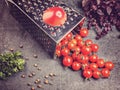 Preparation recipe tomato juice. Large tomato and old grater down to small grape cherry tomatoes on retro vintage rustic gray ston Royalty Free Stock Photo