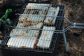 Preparation of stuffed pita on the grill Royalty Free Stock Photo