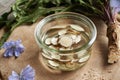 Preparation of tincture from fresh chicory or succory root Royalty Free Stock Photo