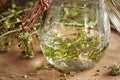 Preparation of tincture from shepherd`s purse plant in a jar