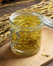 Preparation of herbal tincture from white willow bark in spring Royalty Free Stock Photo