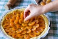 Preparation of yellow prunes tart with fruit decoration