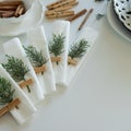 Preparations about arranging the table for winter holidays. Winter decoration Royalty Free Stock Photo