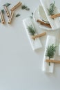 Preparations about arranging the table for winter holidays. Winter decoration Royalty Free Stock Photo