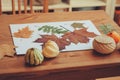 Preparations for autumn craft with kids. Herbarium from dried leaves