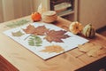 Preparations for autumn craft with kids. Herbarium from dried leaves. Royalty Free Stock Photo