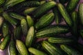 Preparations cucumbers for traditionally pickling vegetables