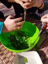 Preparations for field cooking - kids hands cutting edible plants in a bowel Royalty Free Stock Photo