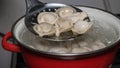 Prepare dumplings in a saucepan stir boiling dumplings with a special scoop delicious homemade food.