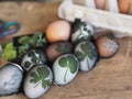 Easter eggs painted onion peel with a pattern of fresh herbs on a wooden ancient background. We color the eggs according to the